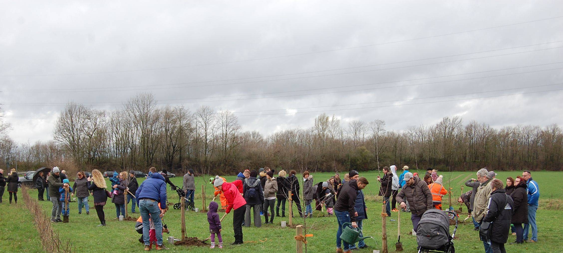 Elsdorf braucht eine neue "Storchenwiese"