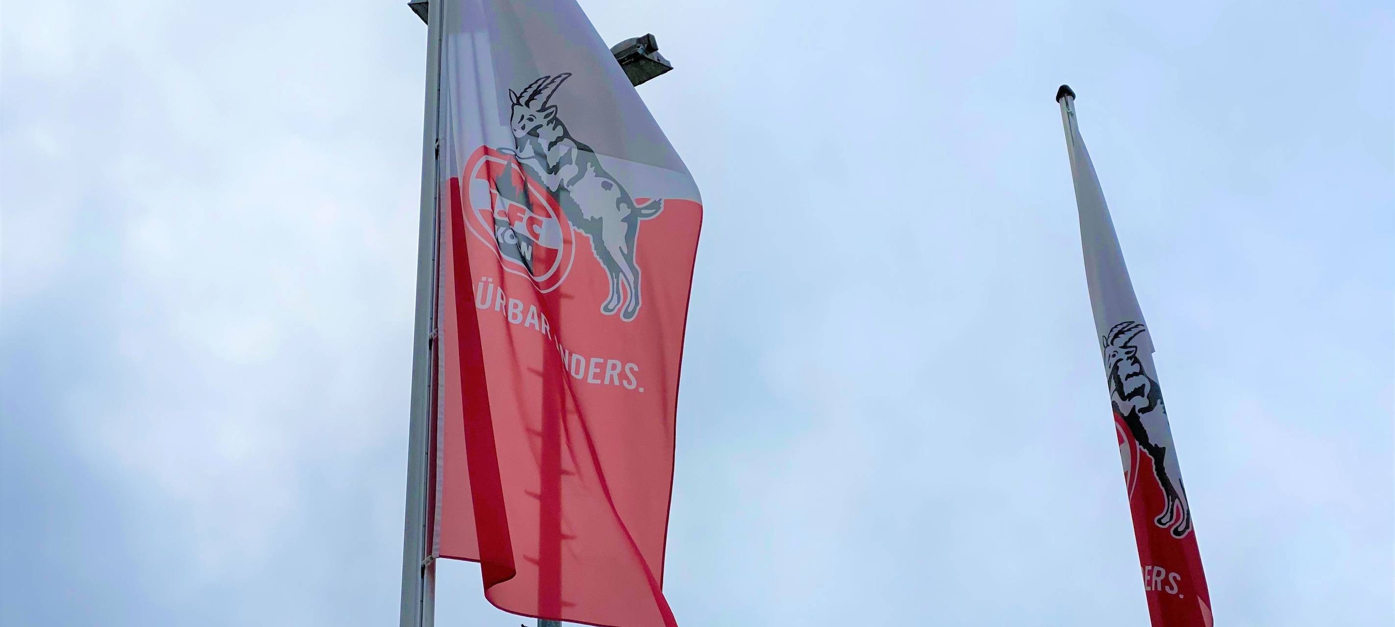 Köln: FC startet bei Borussia Dortmund in die neue Saison
