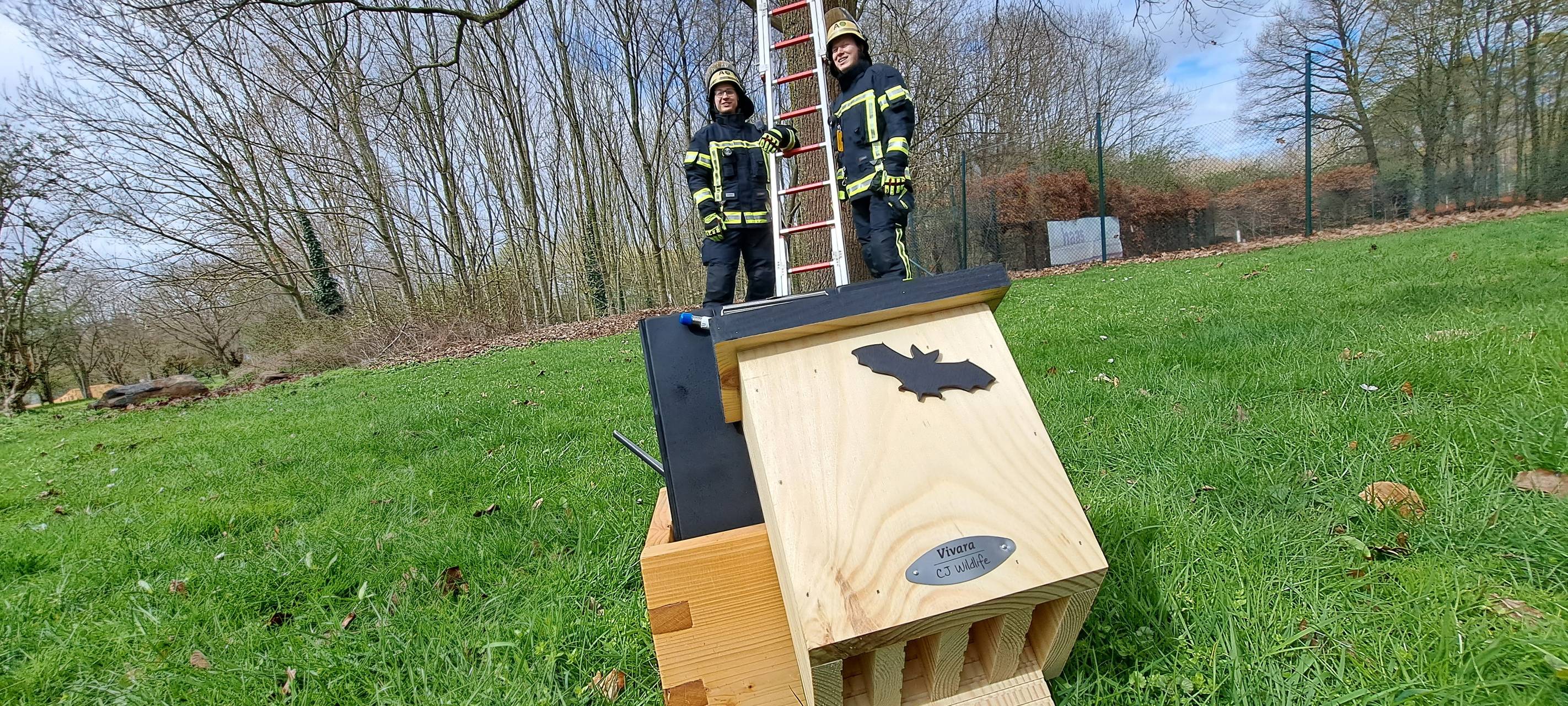 Bergheim: Mit Fledermäusen gegen Eichenprozessionsspinner