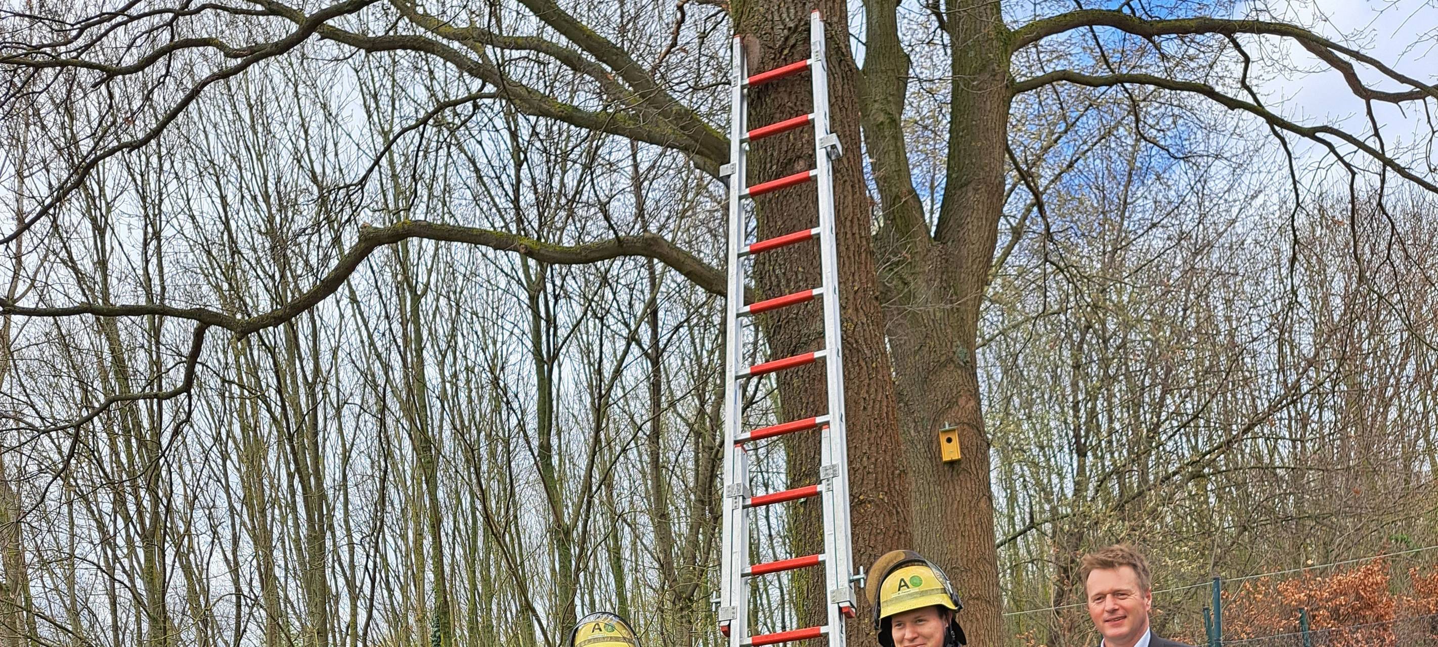 Bergheim: Mit Fledermäusen gegen Eichenprozessionsspinner
