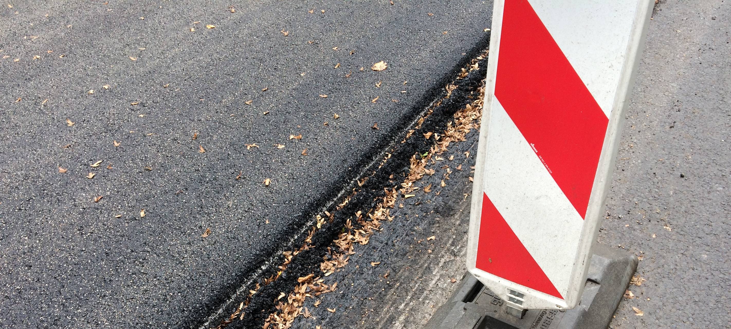 Elsdorf: Bäume weichen neuen Straßen und Radwegen