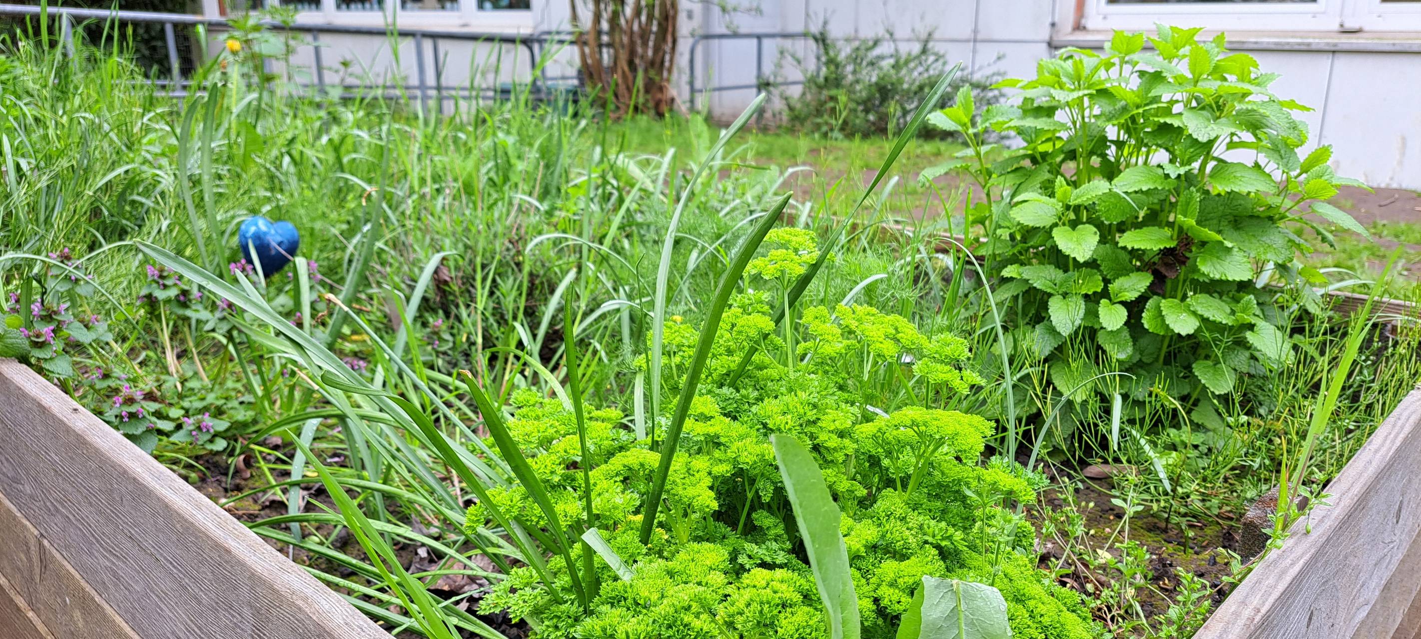 Wesseling: Unterricht in der Natur