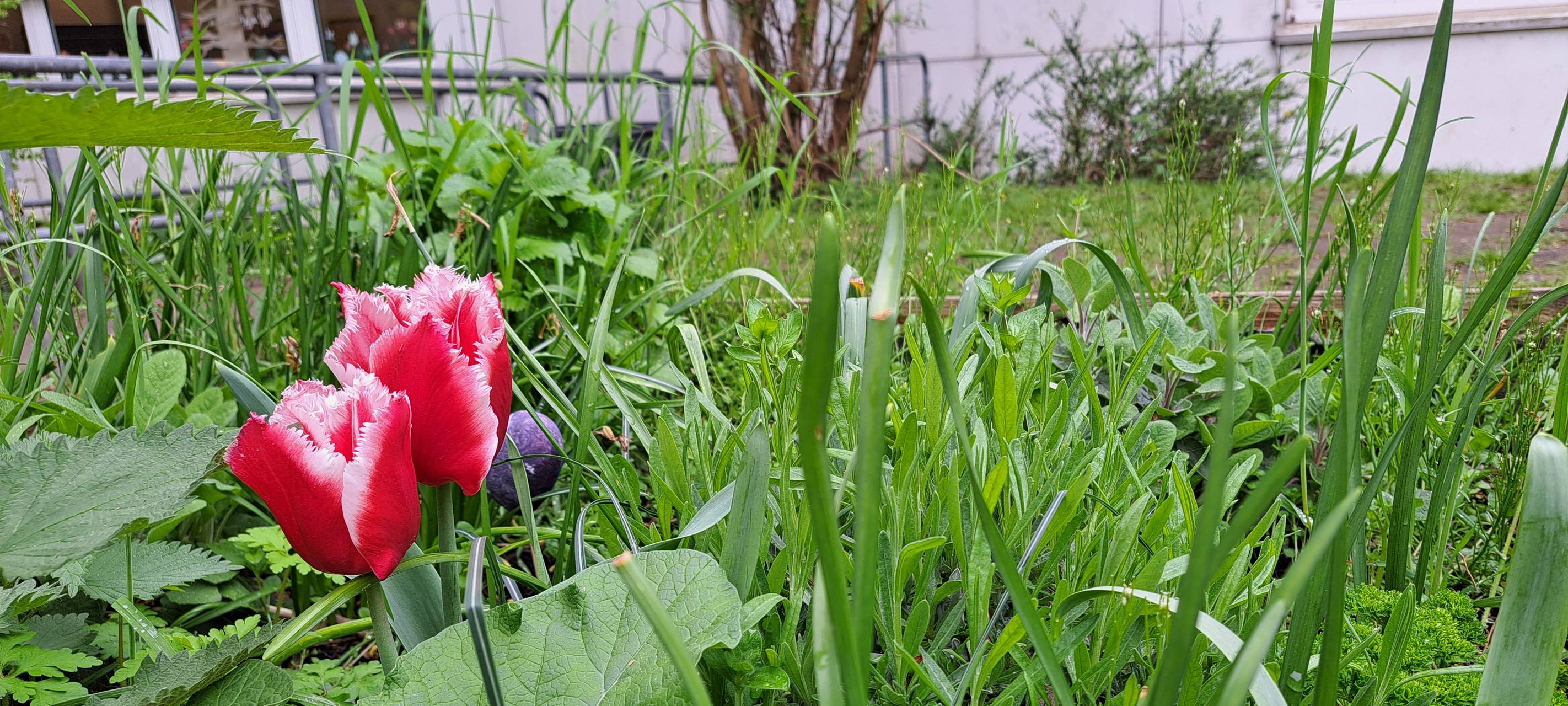 Wesseling: Unterricht in der Natur