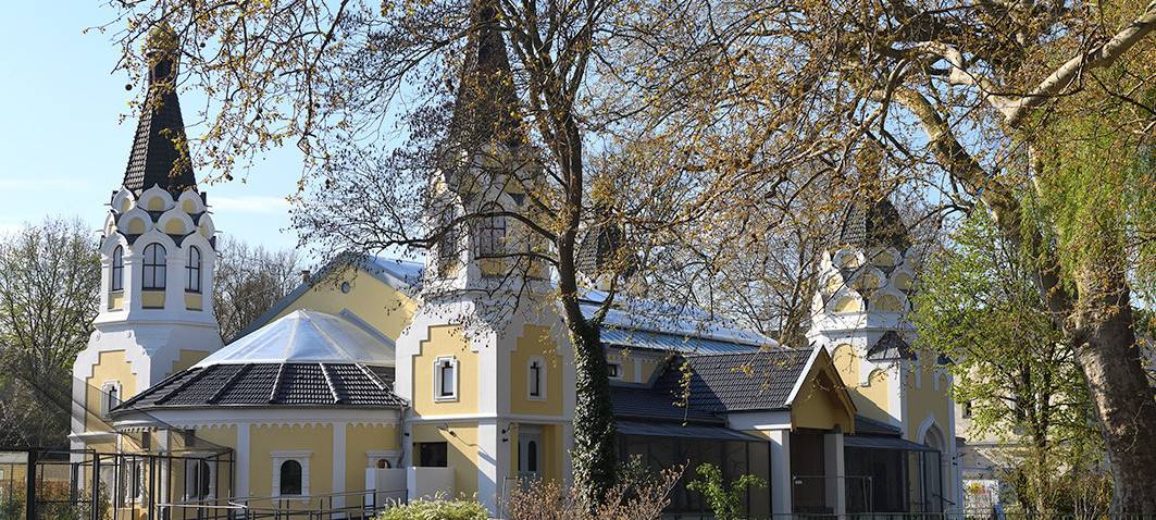 Köln: Zoo hatte erfolgreiches Jahr