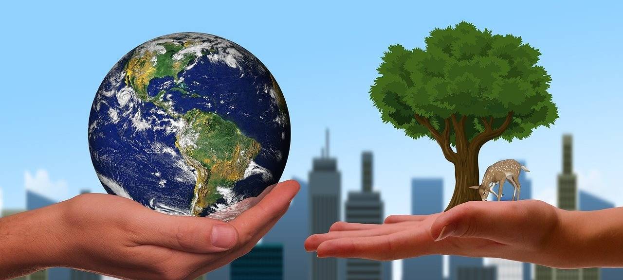 Wesseling: Bewerbungsphase für Klimaschutzpreis läuft
