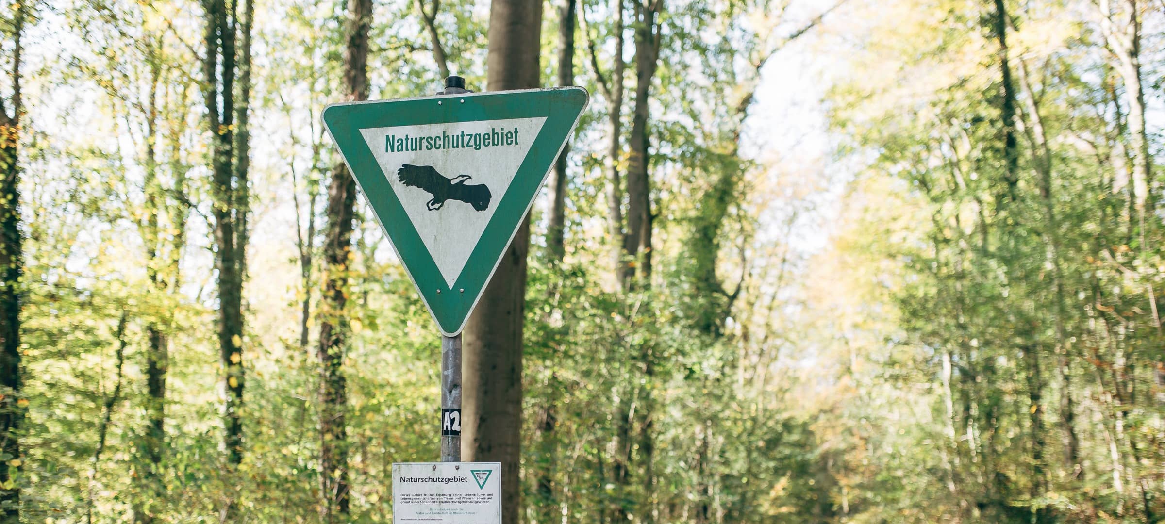 Wildniswerkstatt im Königsdorfer Forst