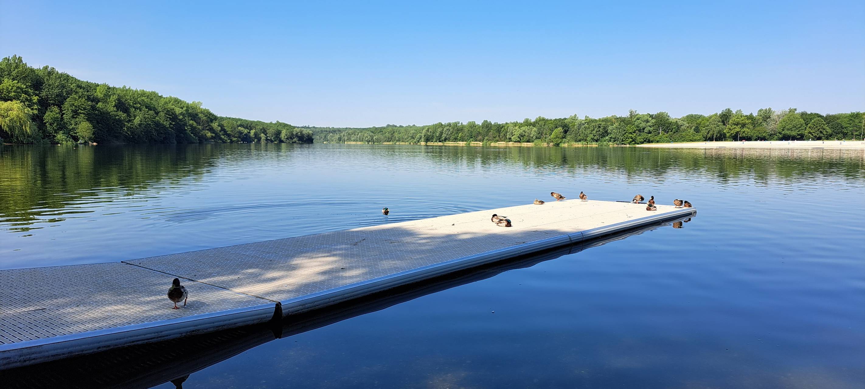 Rhein-Erft: Badeseen im Kreis haben ausgezeichnete Qualität