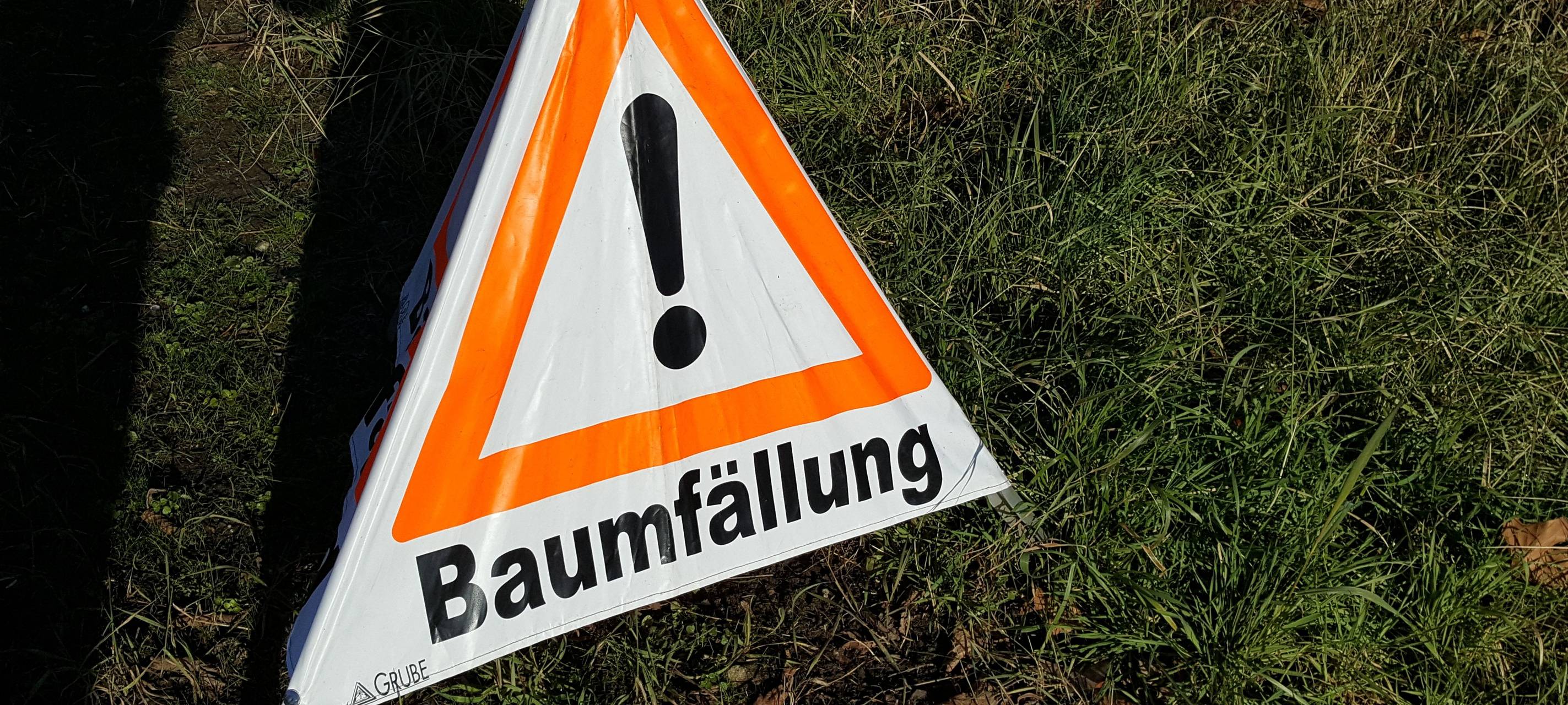 Bergheim: Baum gefällt