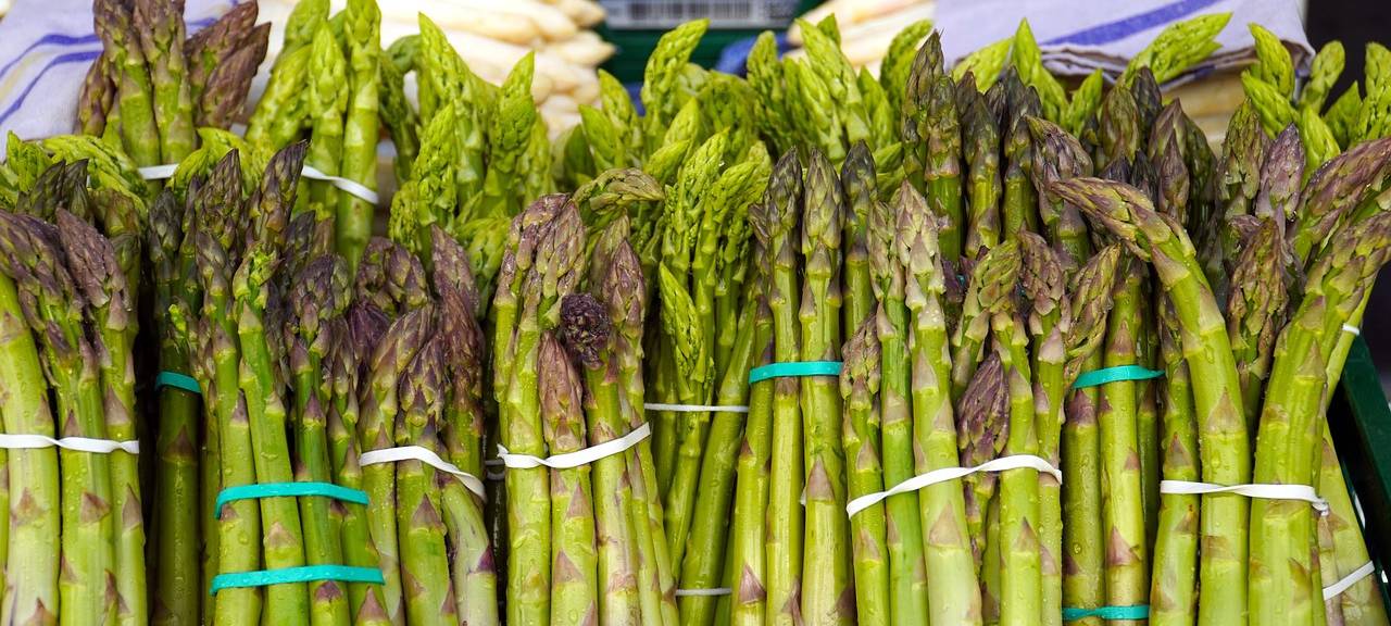 Rhein-Erft: Spargelbauern kritisieren Handel