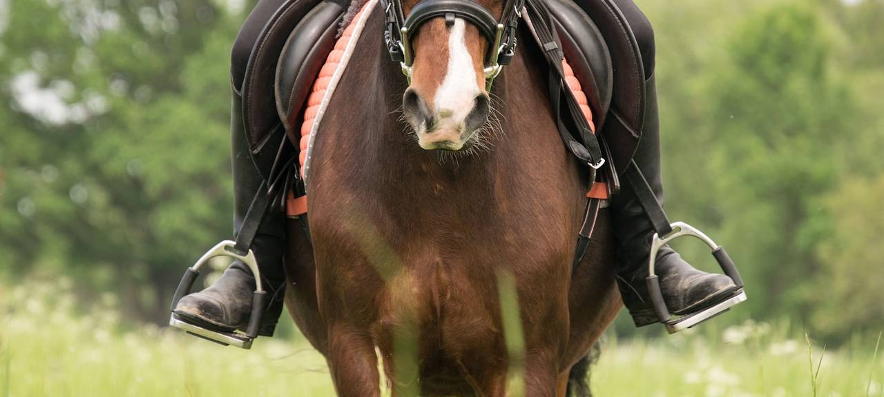 Erftstadt: Reiterin und Pferd in Gymnich angefahren