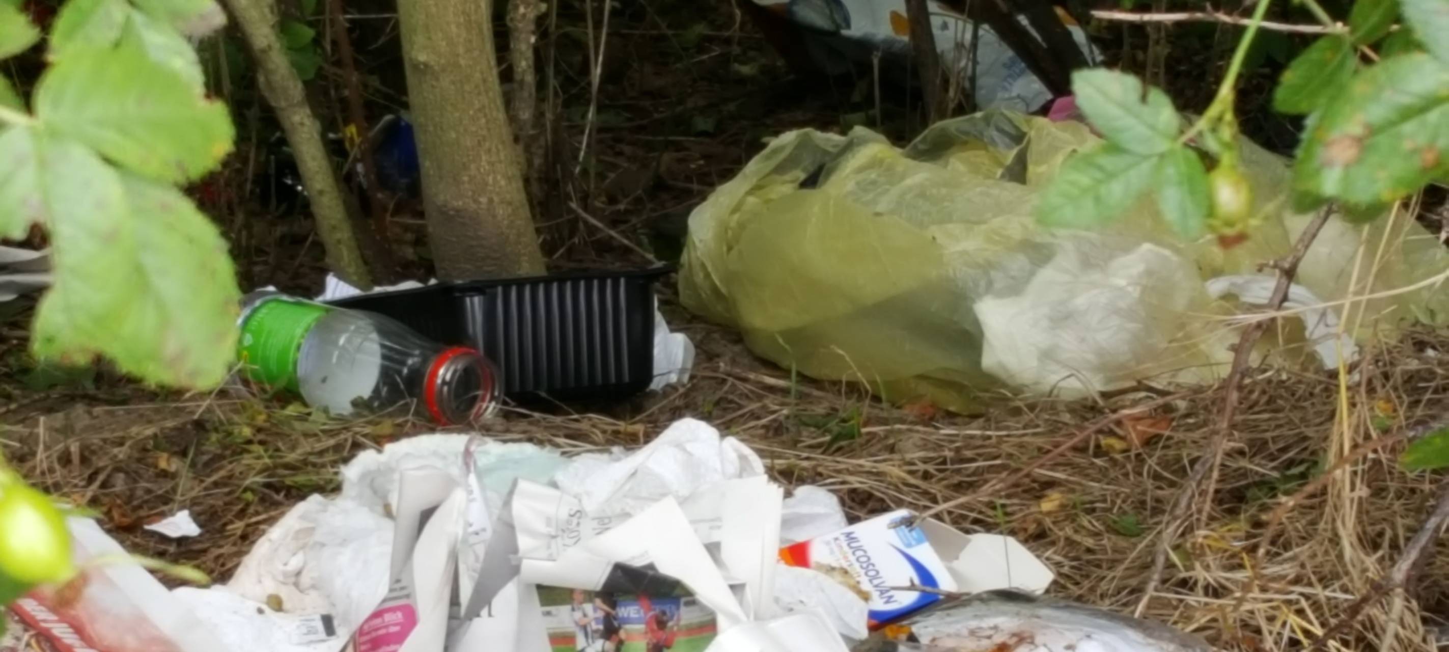 Kerpen: Mit Bewegungsmeldern gegen Vandalismus und Müll?