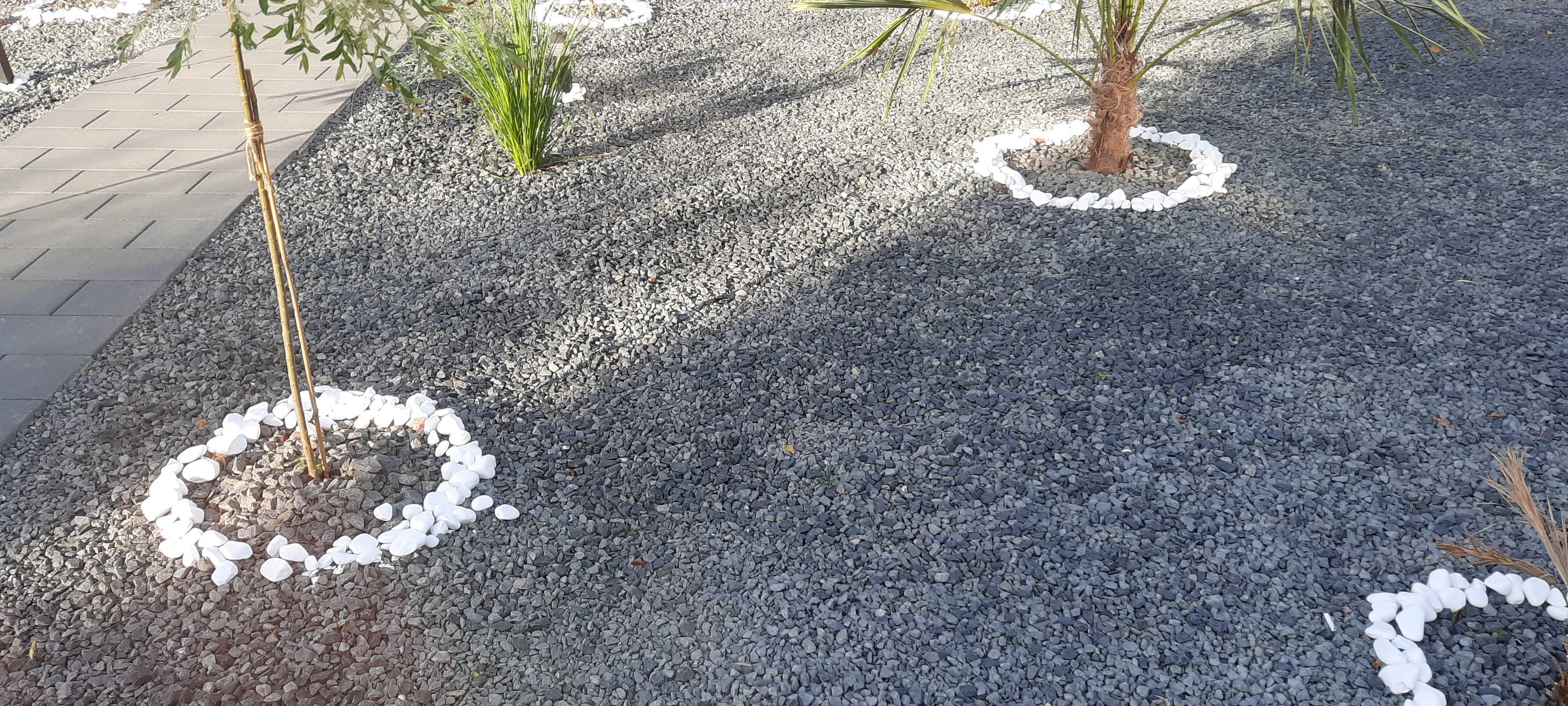 Wesseling: Kampf gegen Schottergärten geht weiter