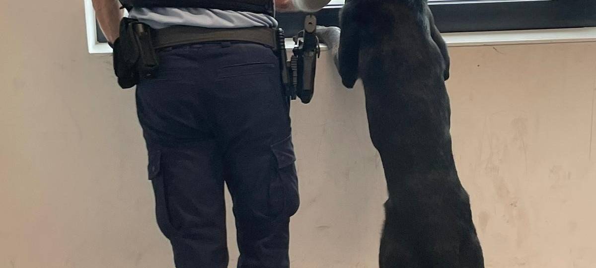 Erftstadt: Balou fährt gerne Zug