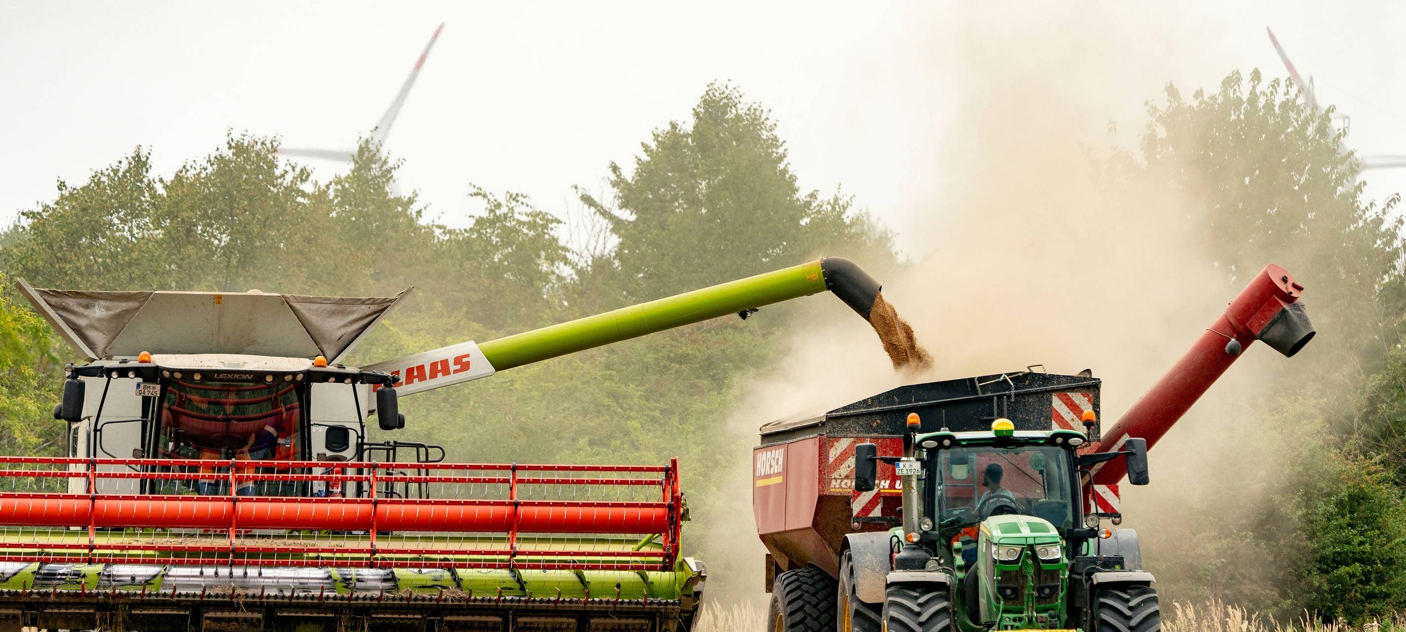 Rhein-Erft: Erste Ernte am Tagebau Hambach