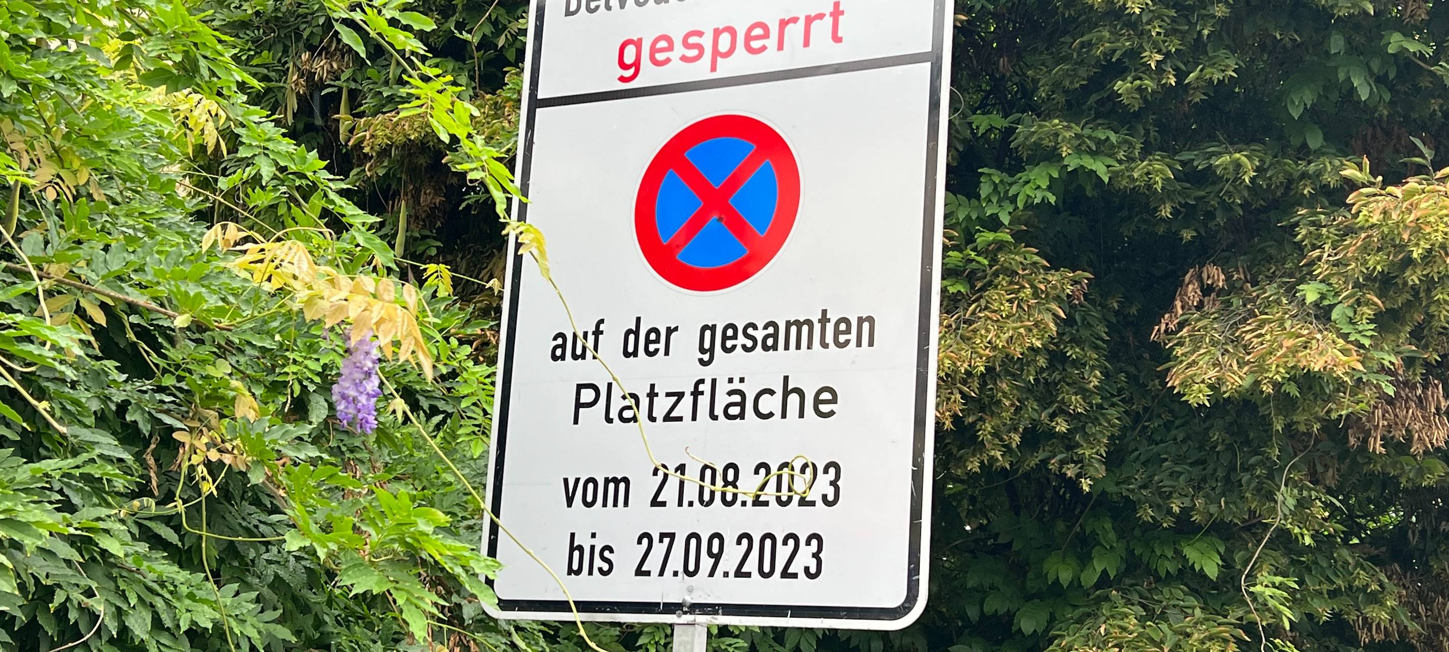 Brühl: Belvedere-Platz wird wieder zum Parkplatz