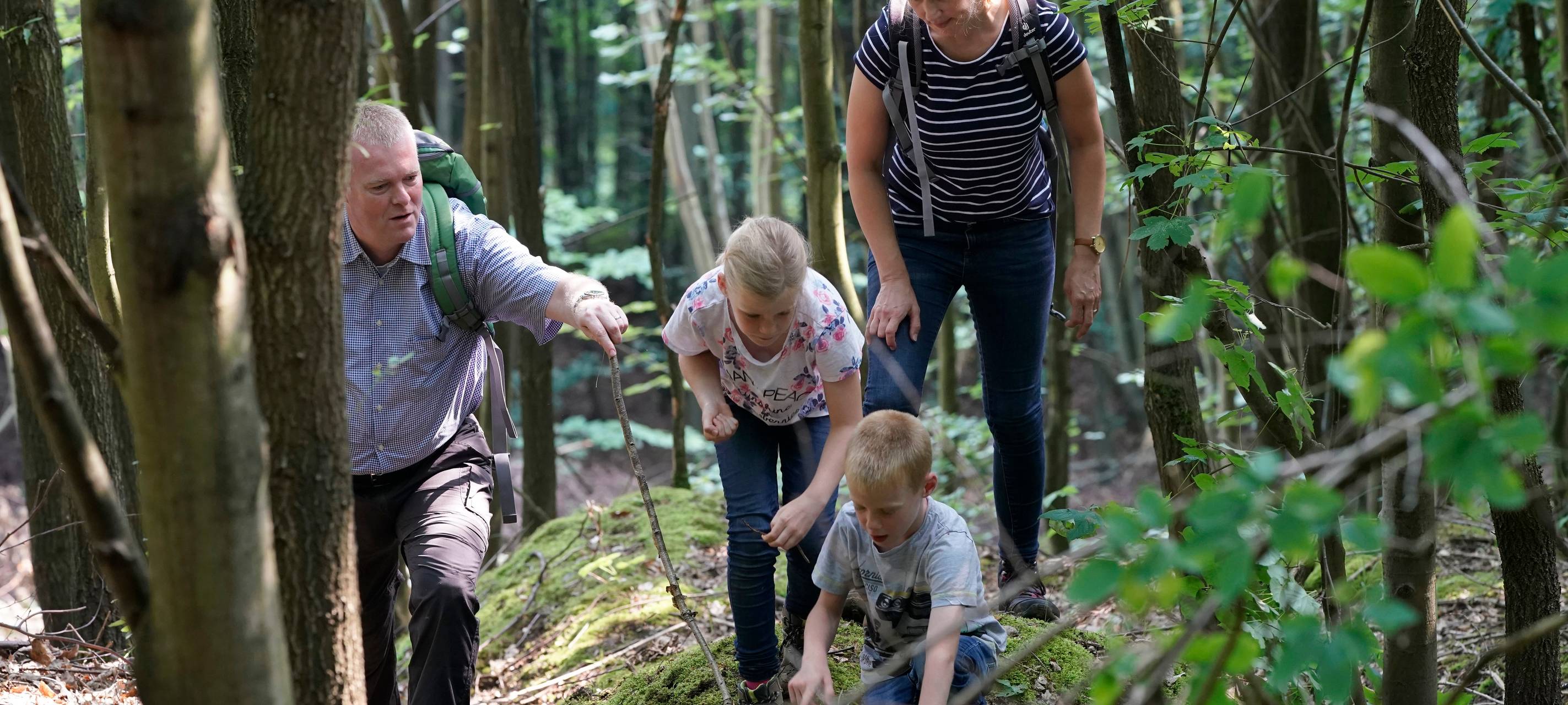 Region: Führung auf Naturerlebnispfad Sophienhöhe