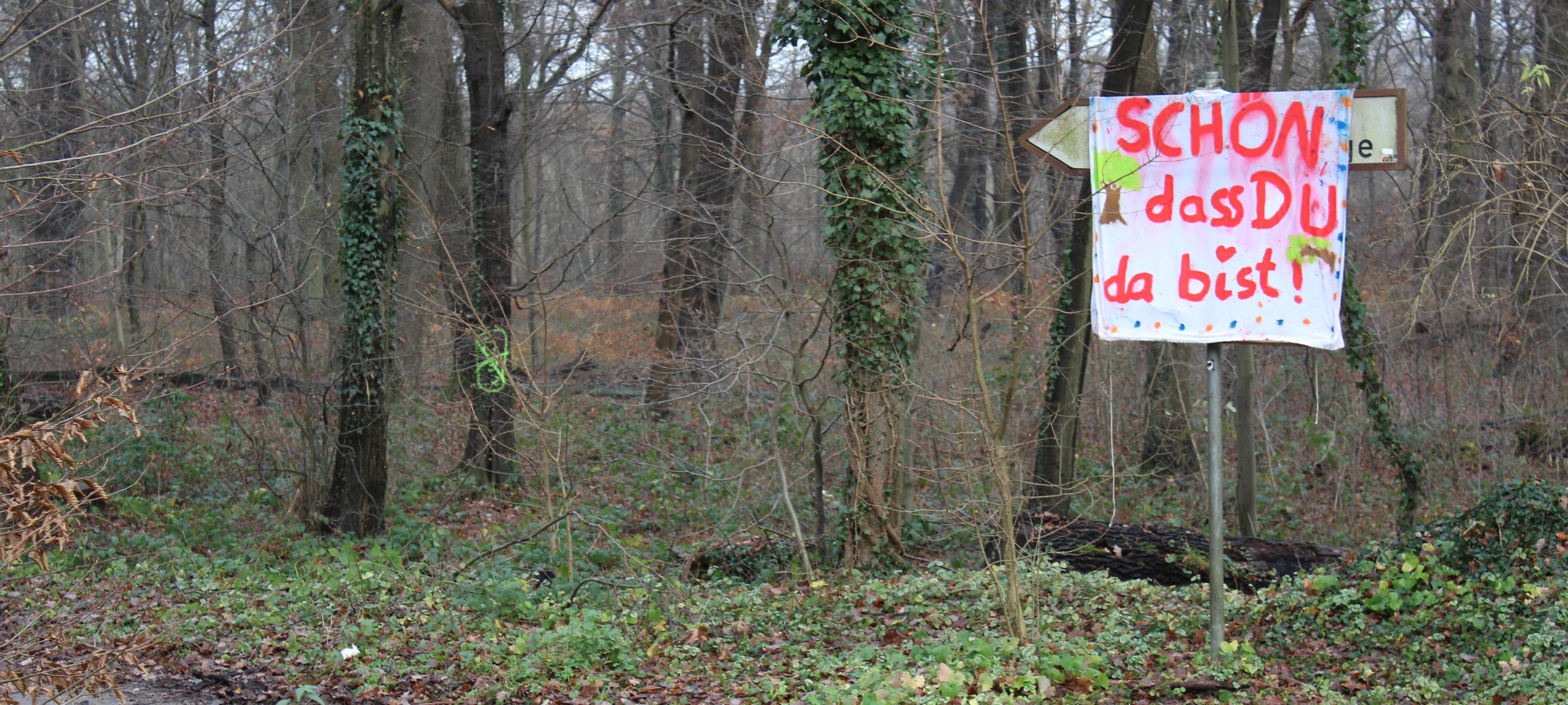 "Aktivisten-Training" im Hambacher Forst