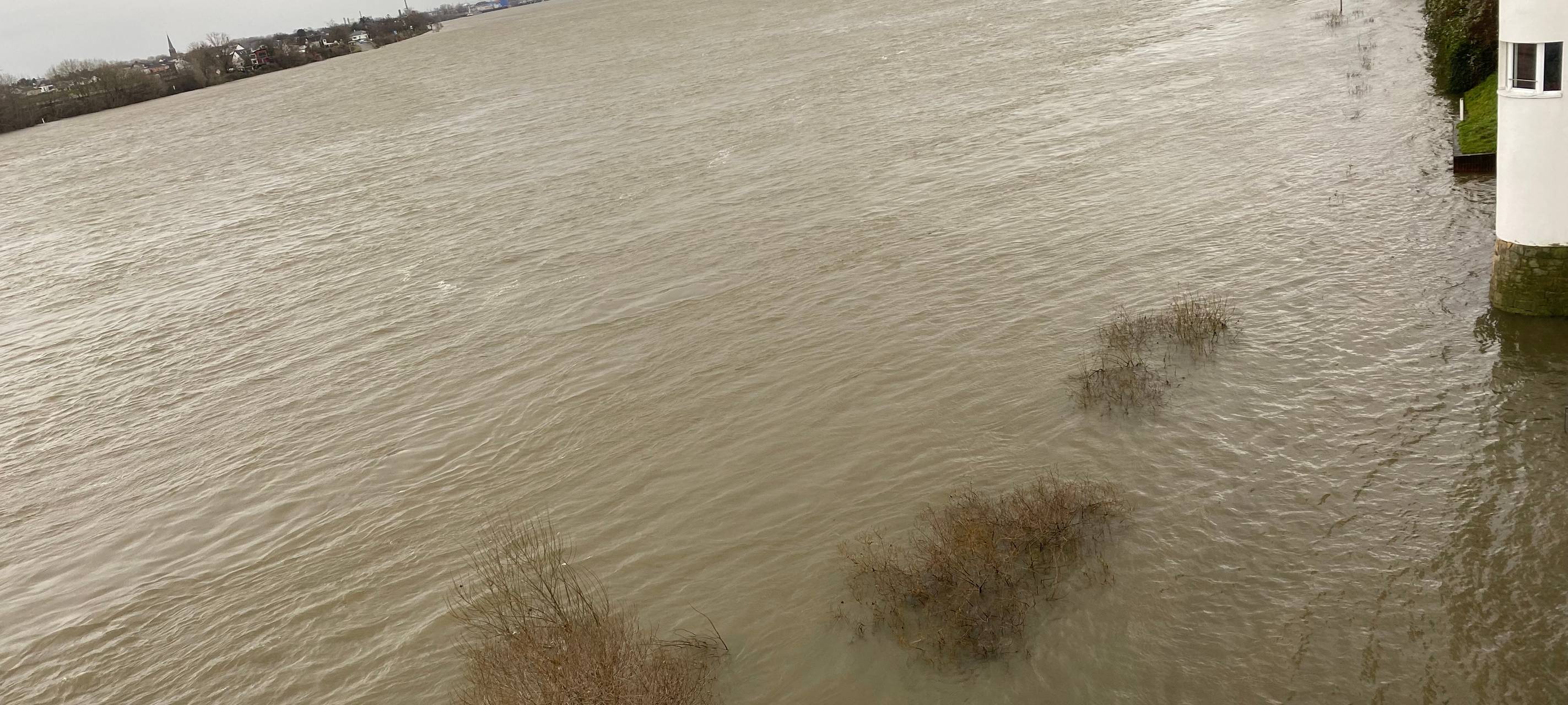 Rhein-Erft: Höhepunkt beim Rheinpegel erreicht