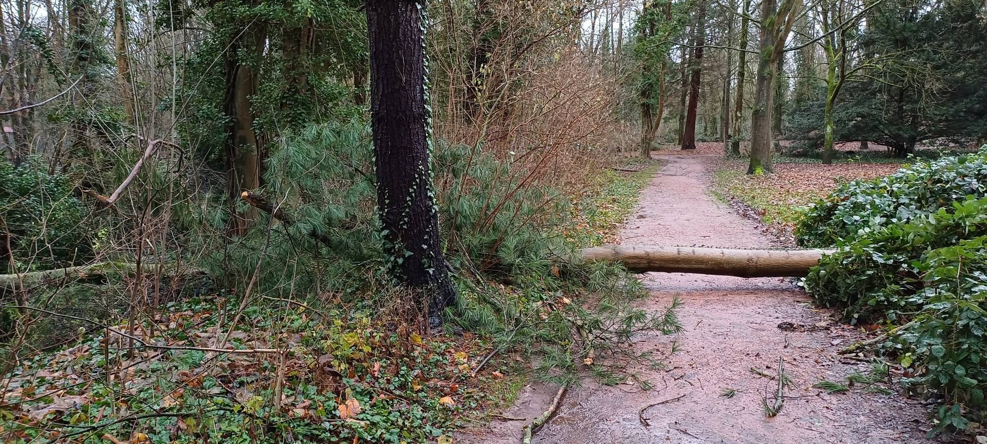 Bedburg: Schlosspark nach Rodungsarbeiten wieder auf