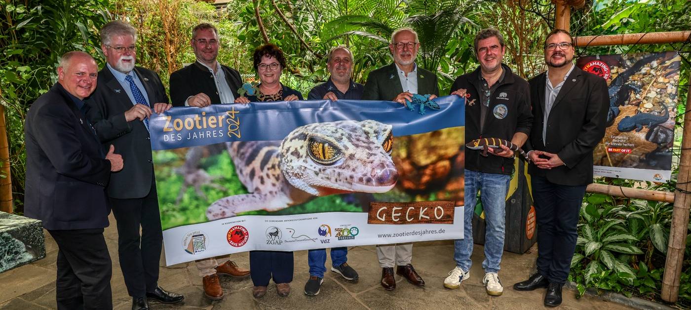 Köln: Der Gecko ist das Zootier des Jahres