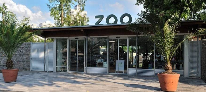 Kölner Zoo: Persischer Leopard geboren