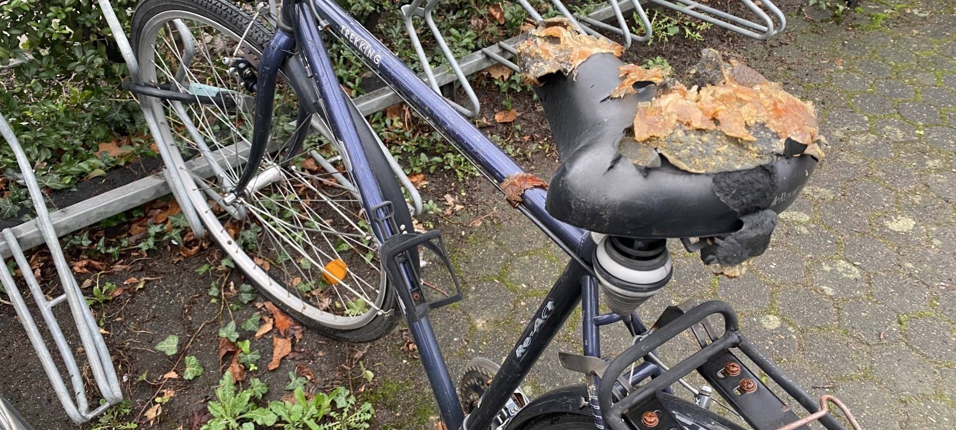 Köln: Stadt sammelt Schrotträder ein