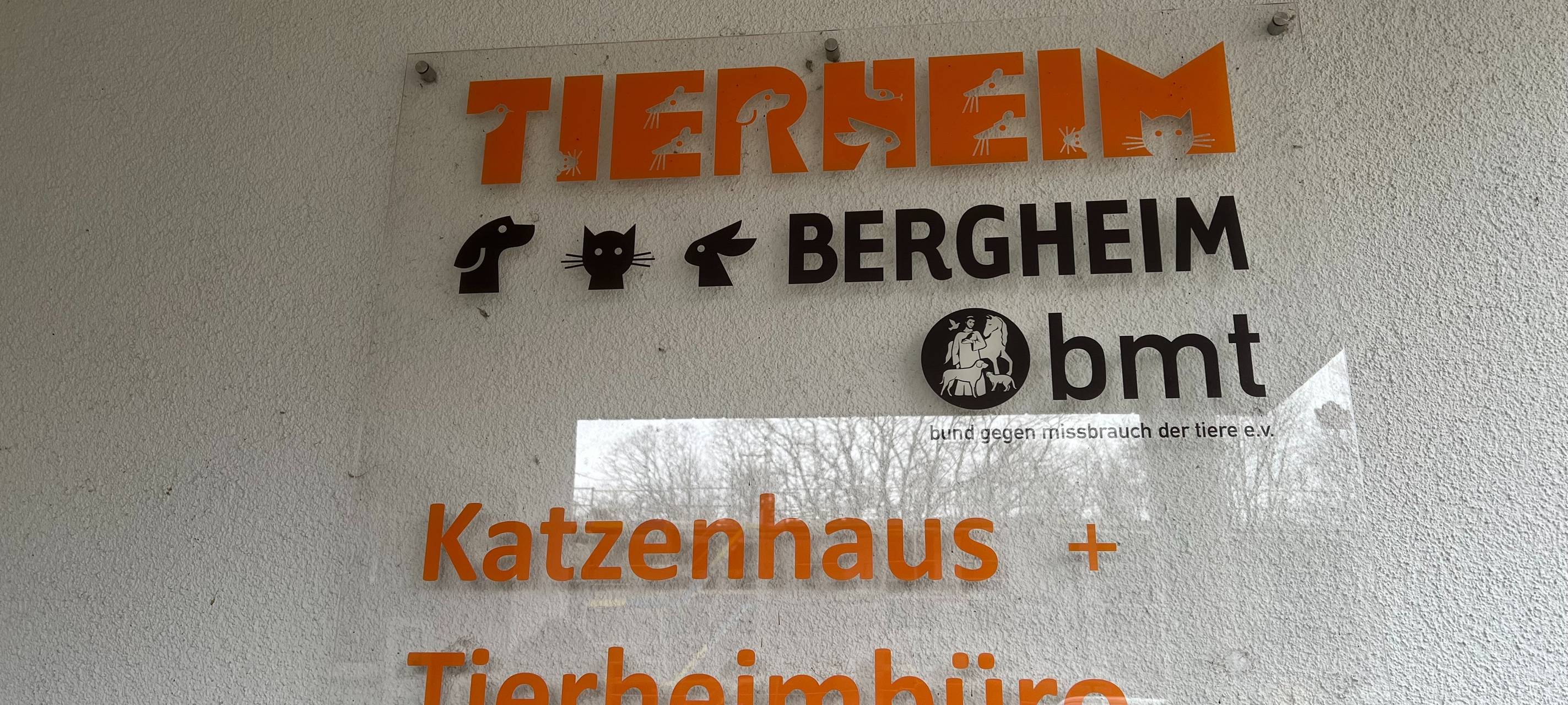 Bergheim: Tierheim ist rappelvoll