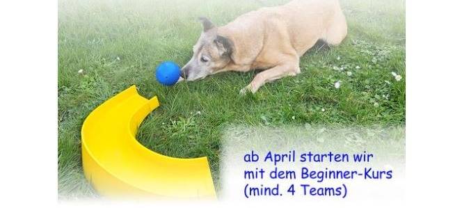Pulheim: Neuer Kurs im Hunde-Golf