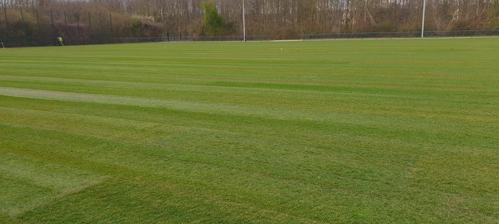 Kerpen: Spielvereinigung hat neues Rollrasenspielfeld