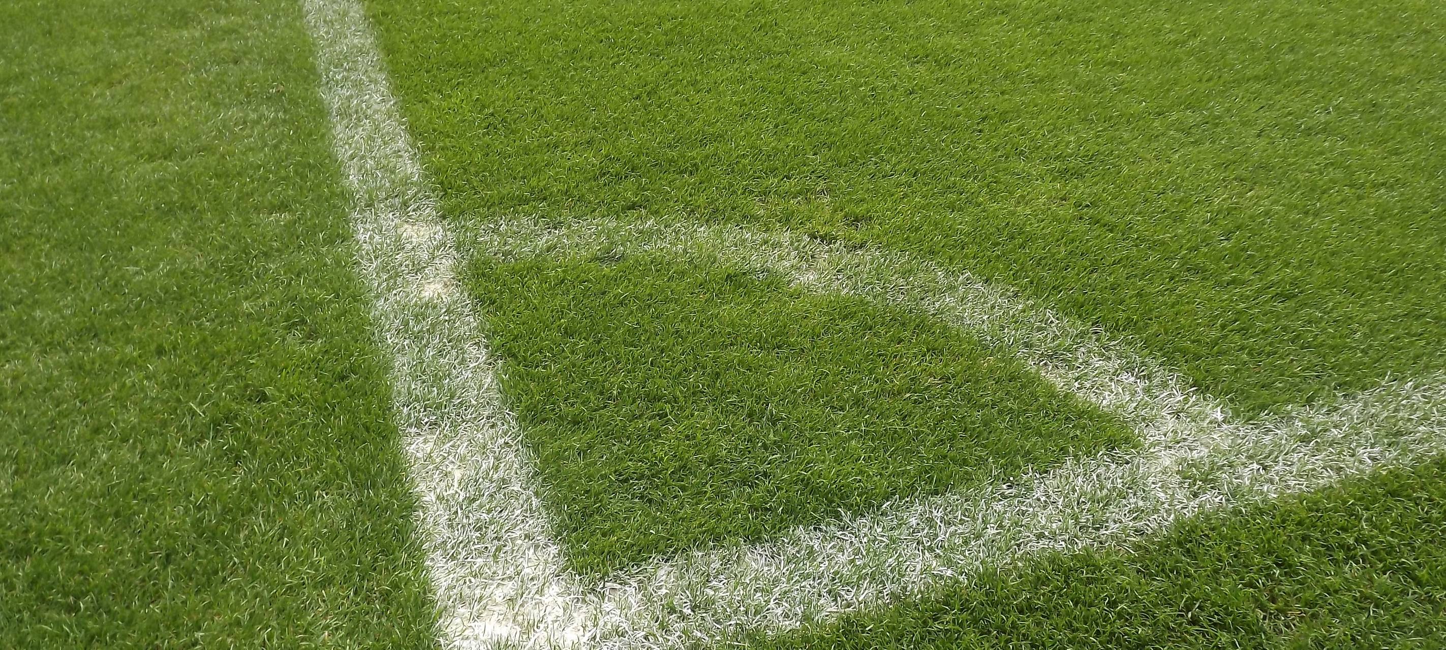 Rhein-Erft: Immer mehr Verfahren beim Sportgericht