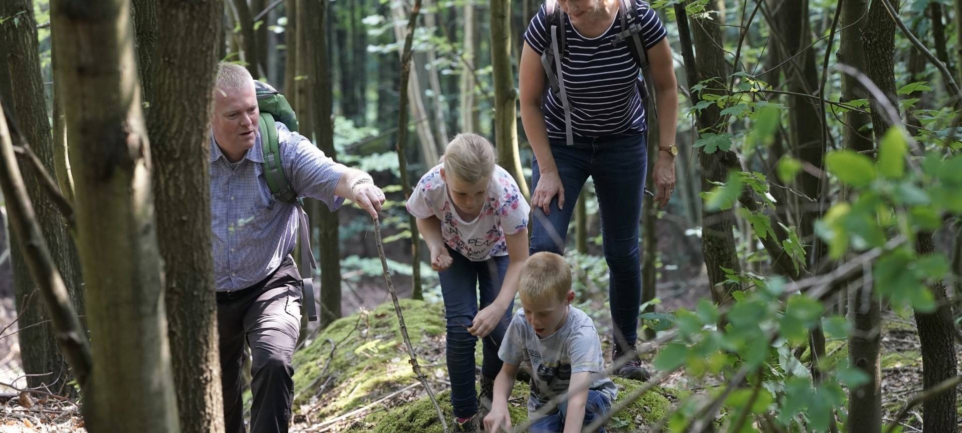 Wanderung auf der Sophienhöhe: Rekultivierung erleben
