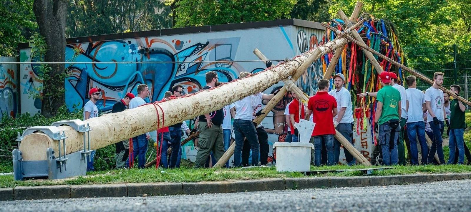 Rhein/Erft: Vorbereitungen auf die Maifeste