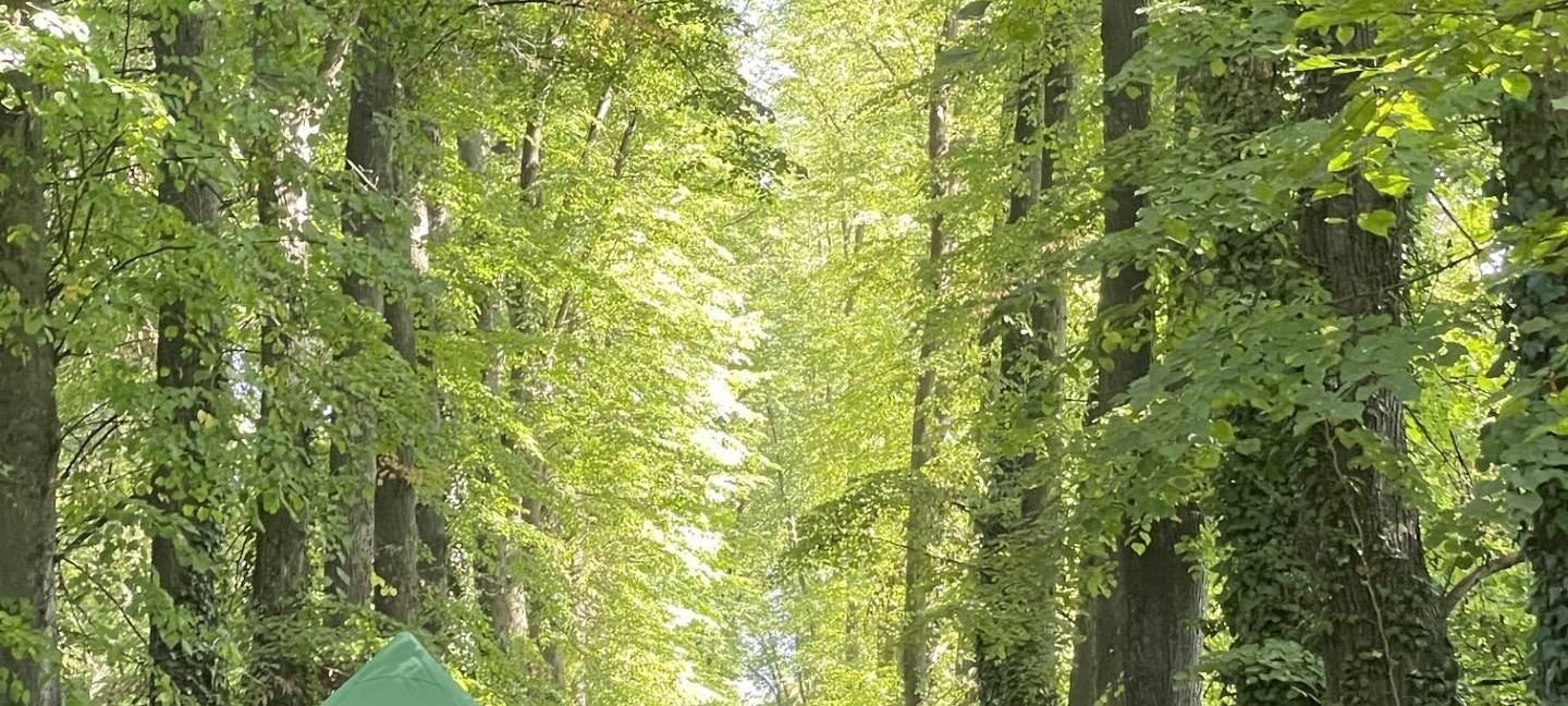 Kerpen: Biogartenmesse im Schlosspark Türnich