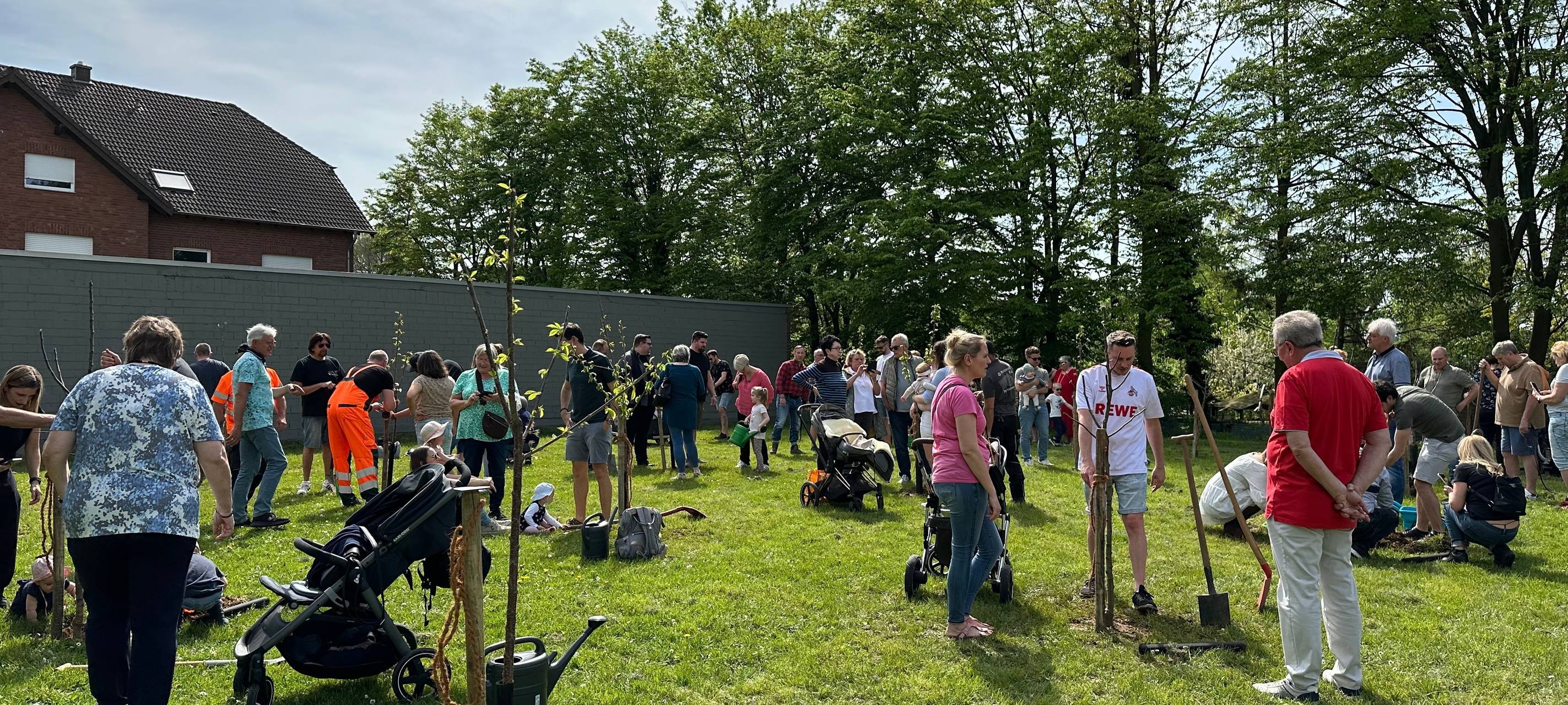 Elsdorf: 4. Storchenwiese eröffnet