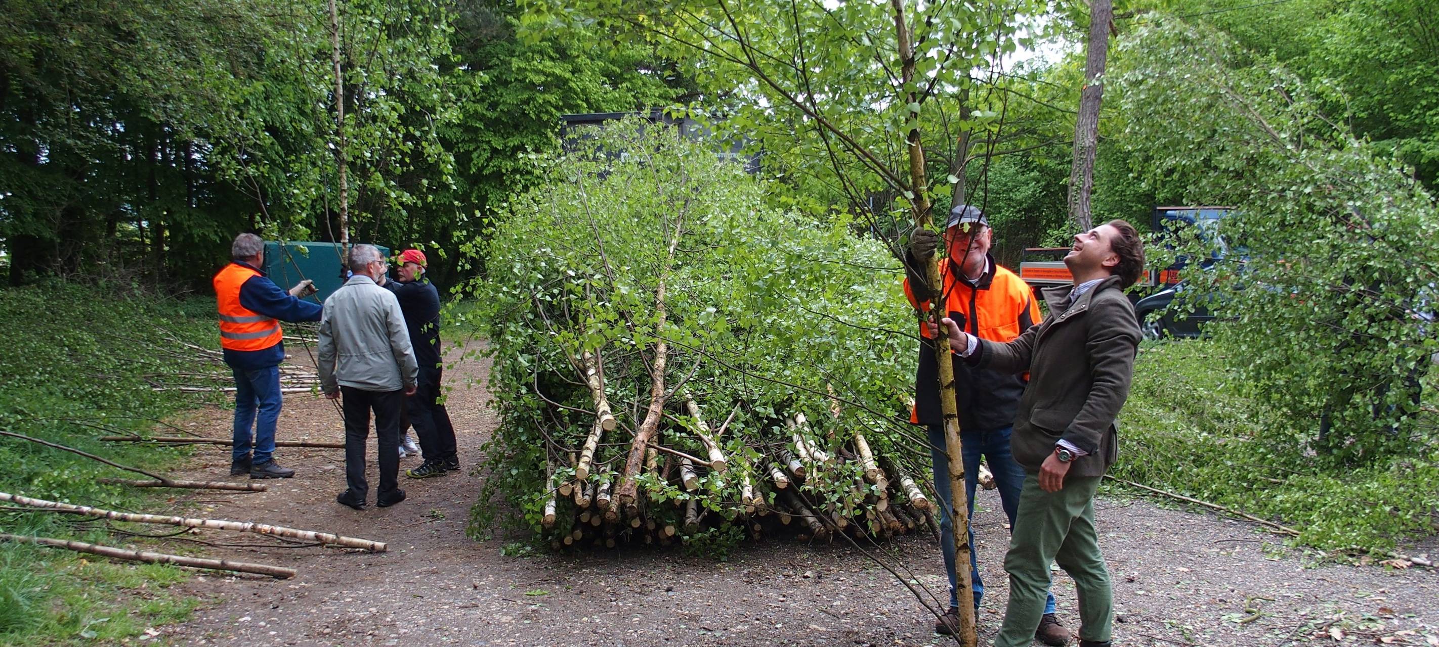 Rhein-Erft: Maibäume werden verkauft