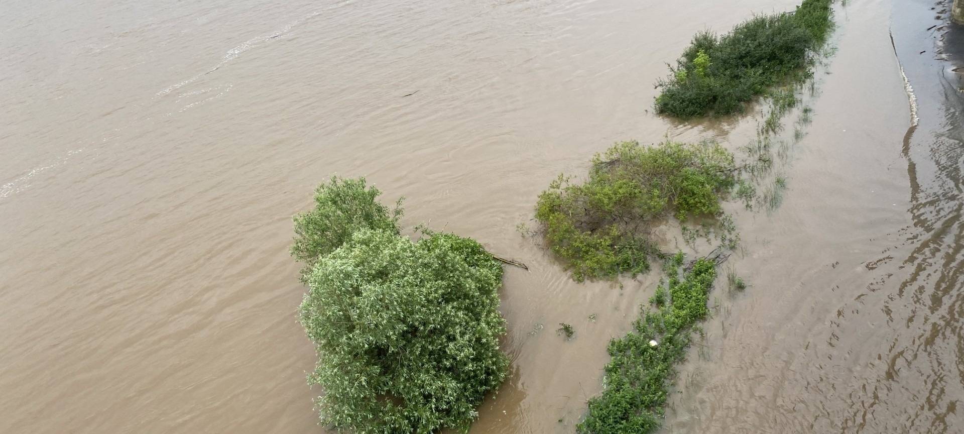 Köln/Wesseling: Rheinpegel erreicht Scheitelpunkt