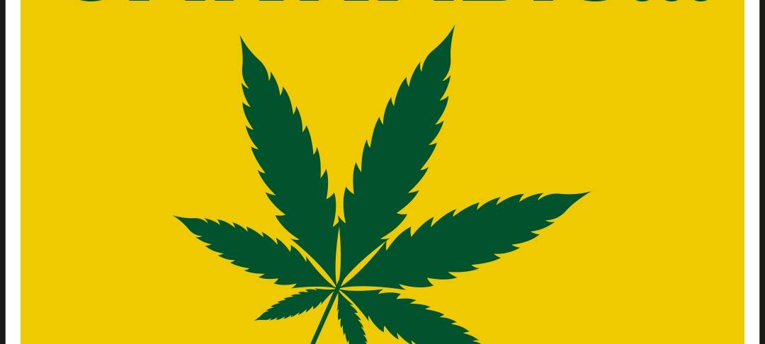 Rhein-Erft: Cannabis-Aufklärung an Schulen und in Bussen