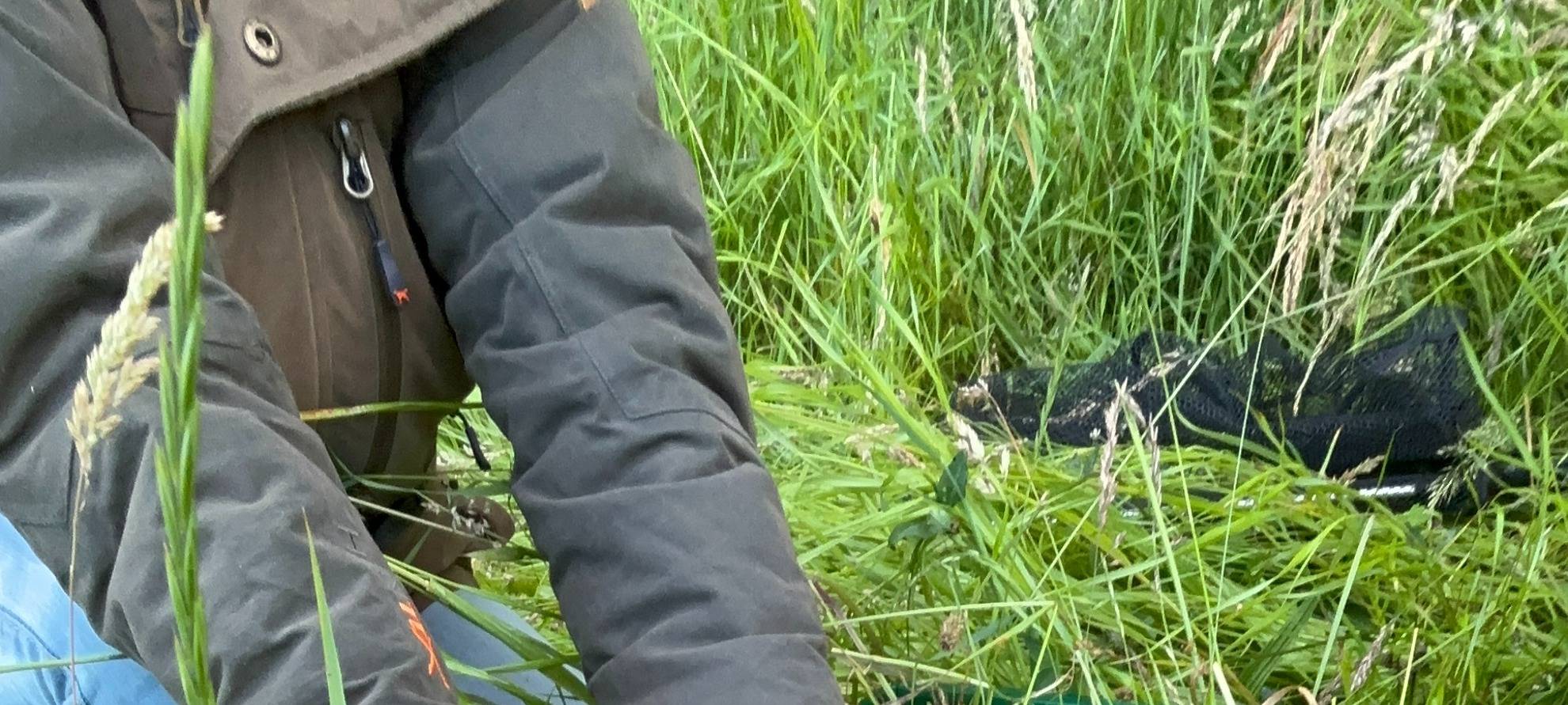 Rhein-Erft: Rehkitzretter im Einsatz