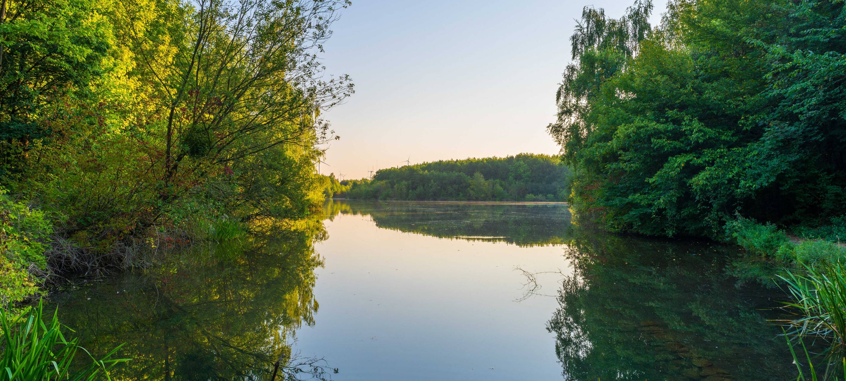 Rhein-Erft: Bundesfreiwilligendienst im Naturschutz