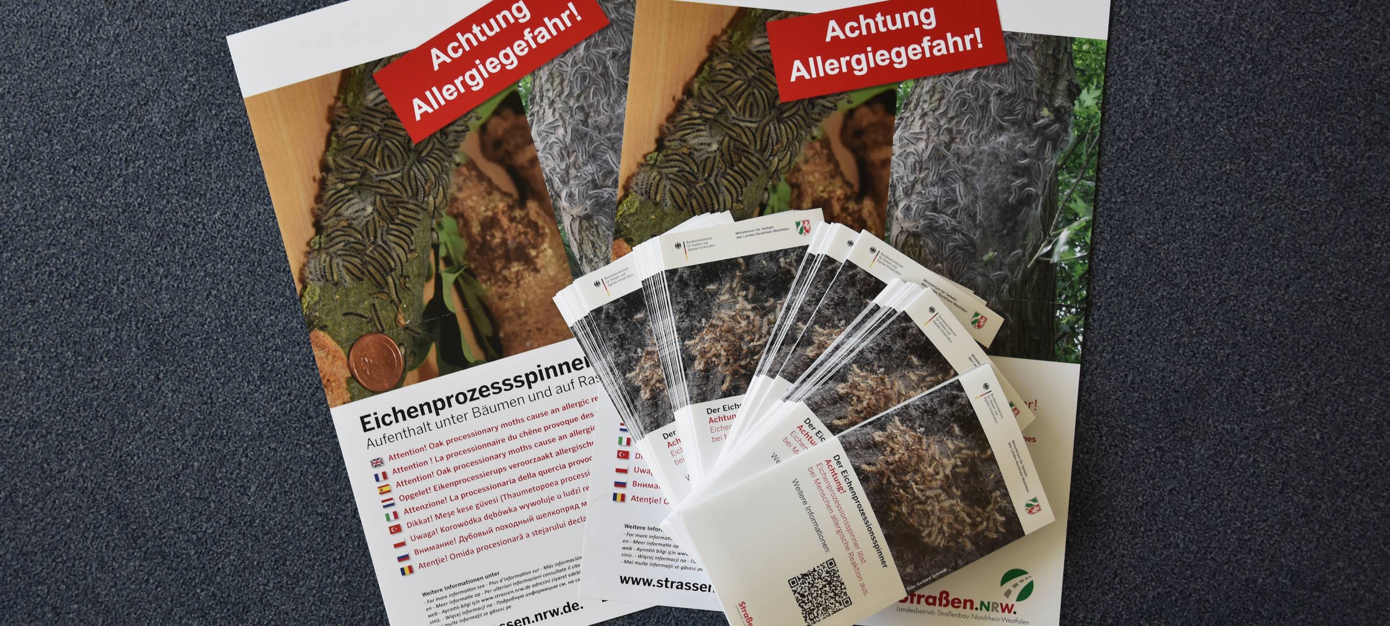 Warnung vor Raupen auf Rastplätzen