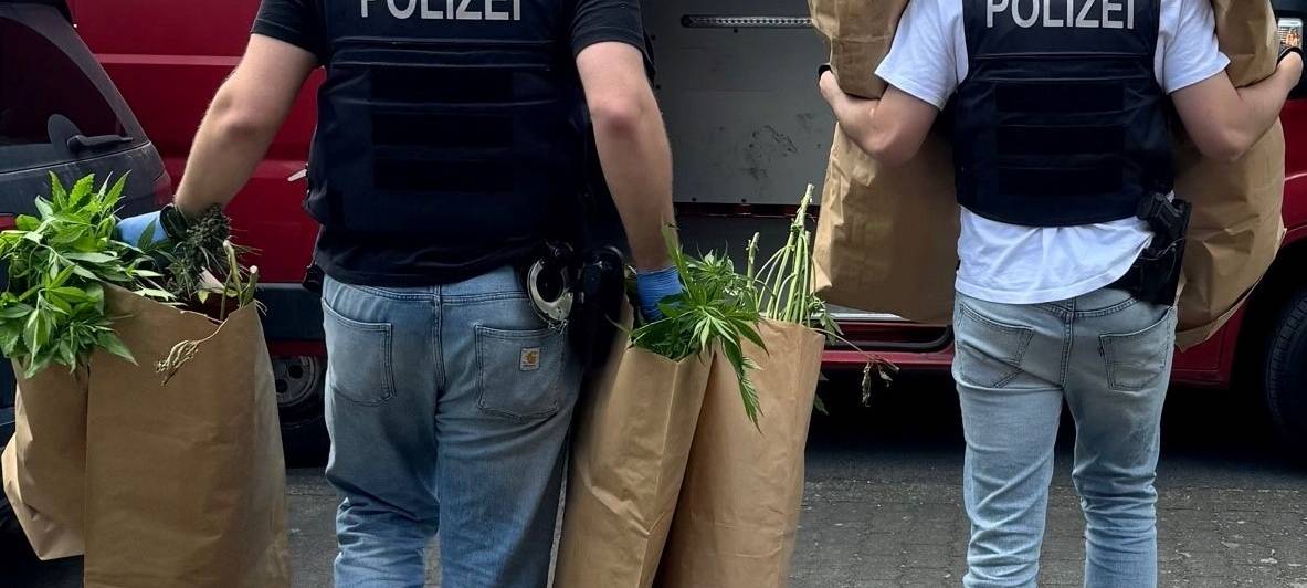 Brühl: Marihuana und Pilze sichergestellt