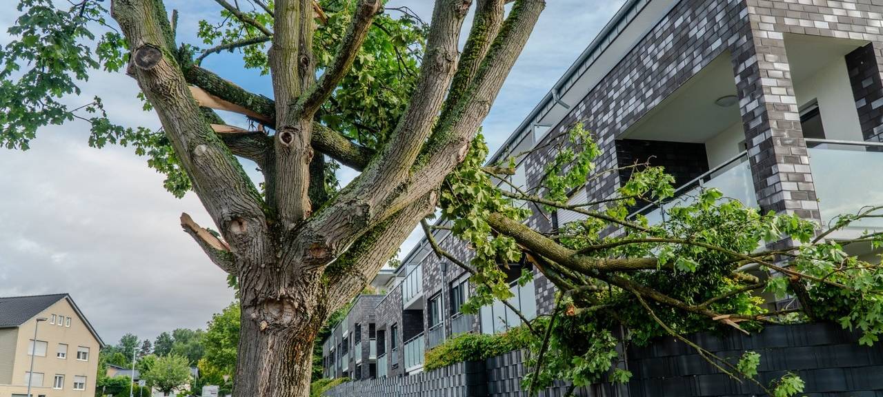 Bedburg: Mutmaßliche Windhose sorgt für große Schäden
