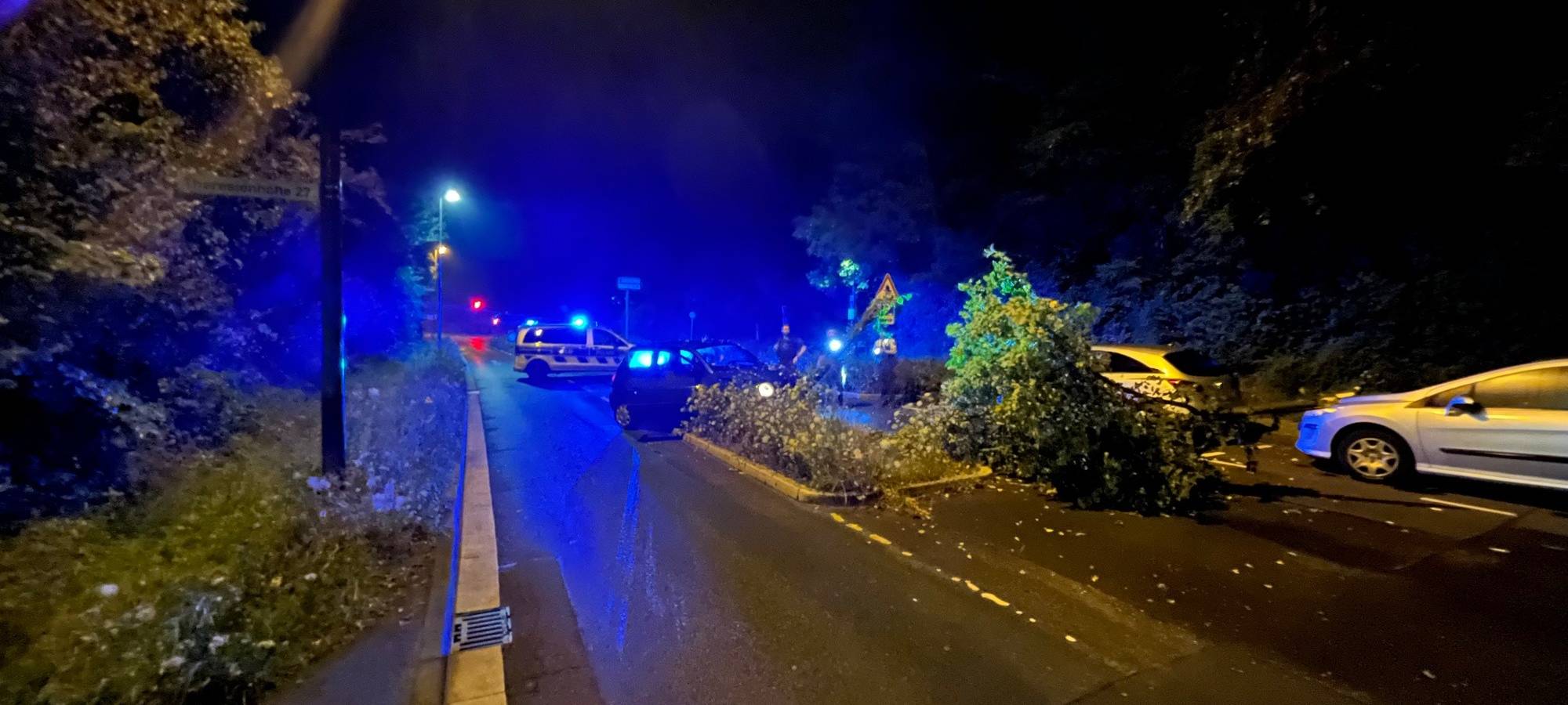 Hürth: Auto prallt gegen Baum