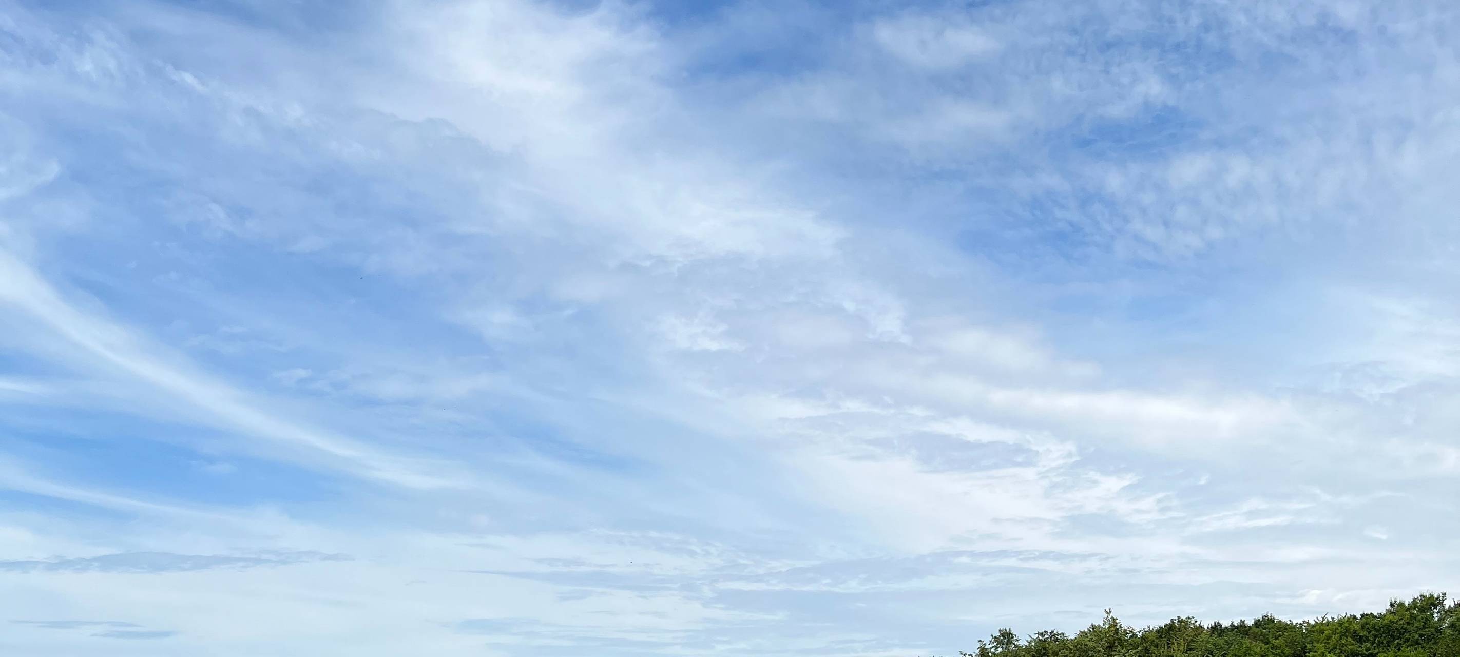 Sommer: Die besten Badeseen bei uns im Rhein-Erft-Kreis