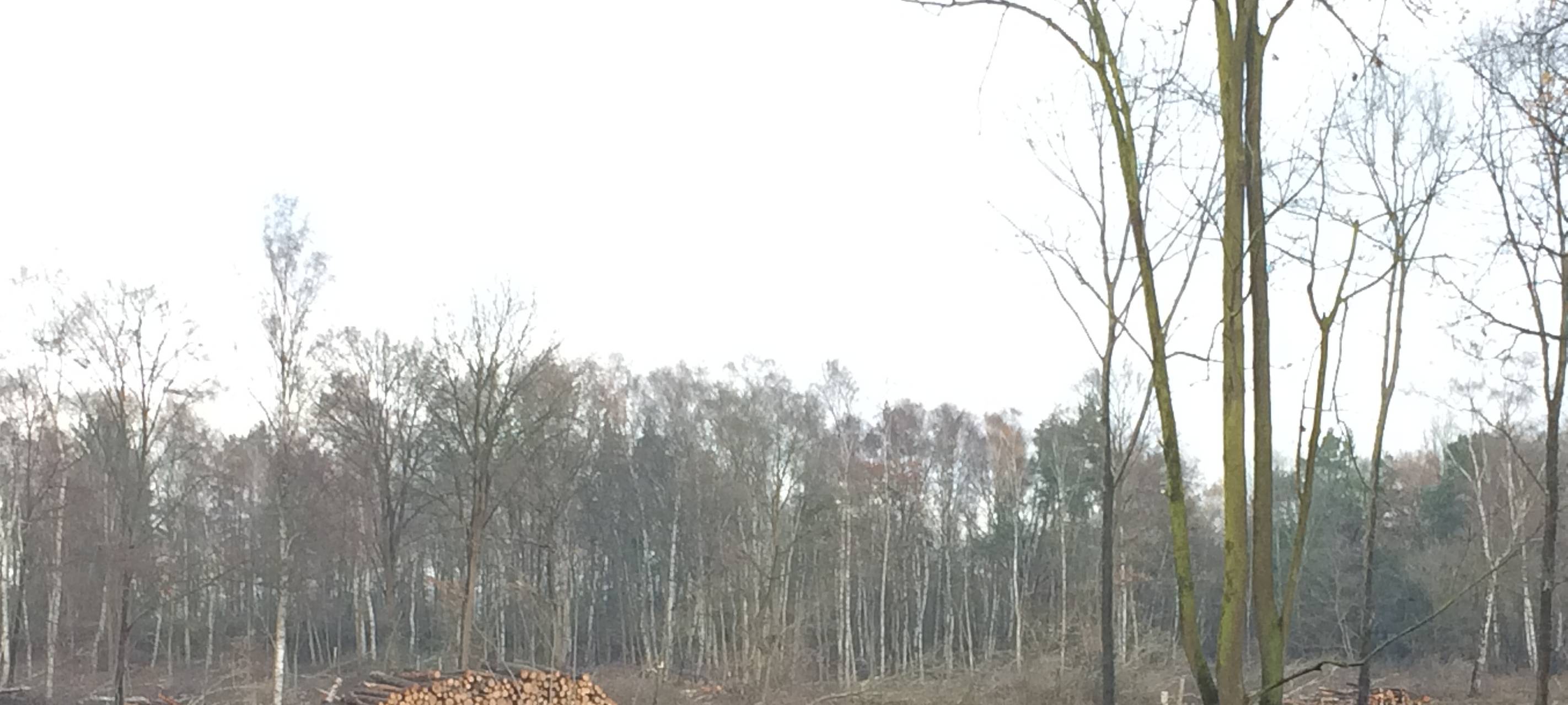 RWE-Mitarbeiter mit Steinen beworfen