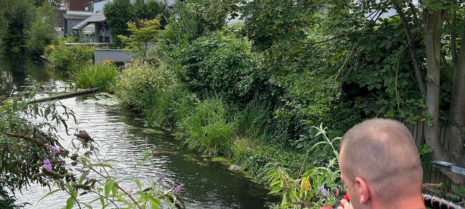 Feuerwehr Erftstadt rettet Fische im Stadtweiher Lechenich