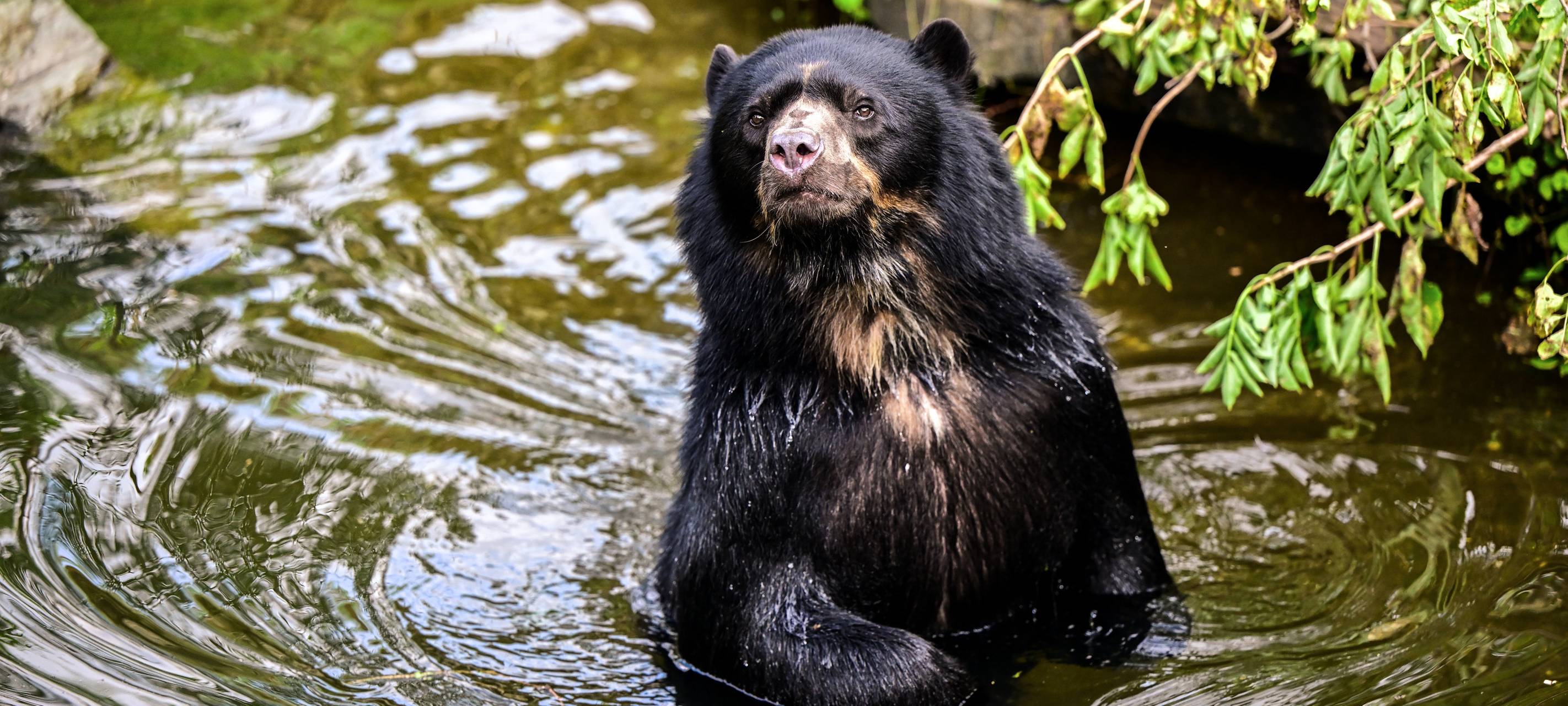Artenschutztag im Kölner Zoo