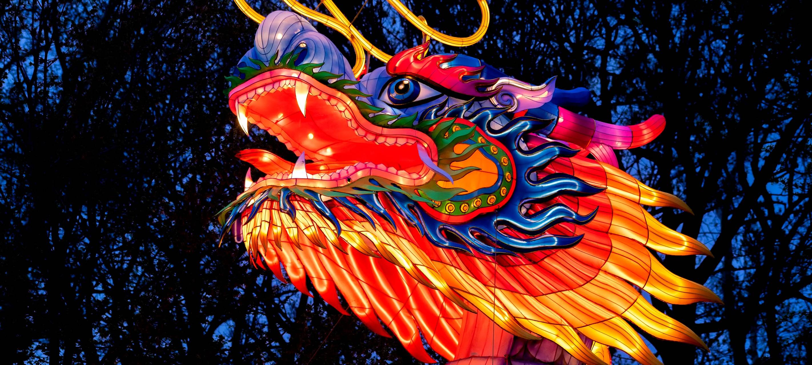 China-Lights im Kölner Zoo: Ein leuchtendes Jubiläum