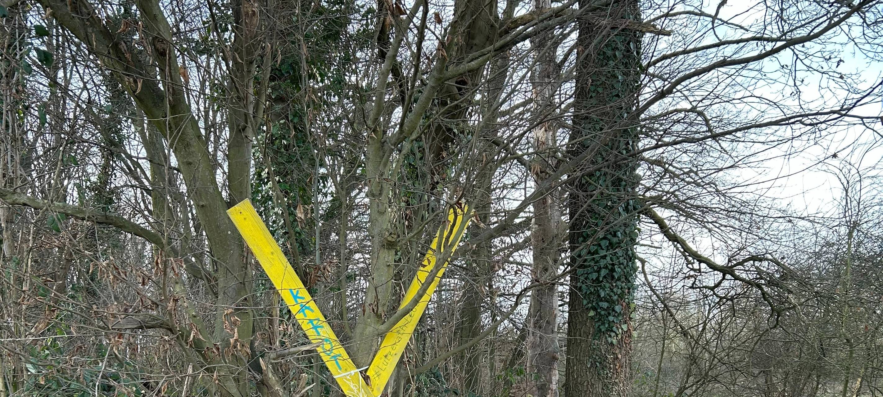 Nächster Spaziergang am Sündenwäldchen bei Kerpen