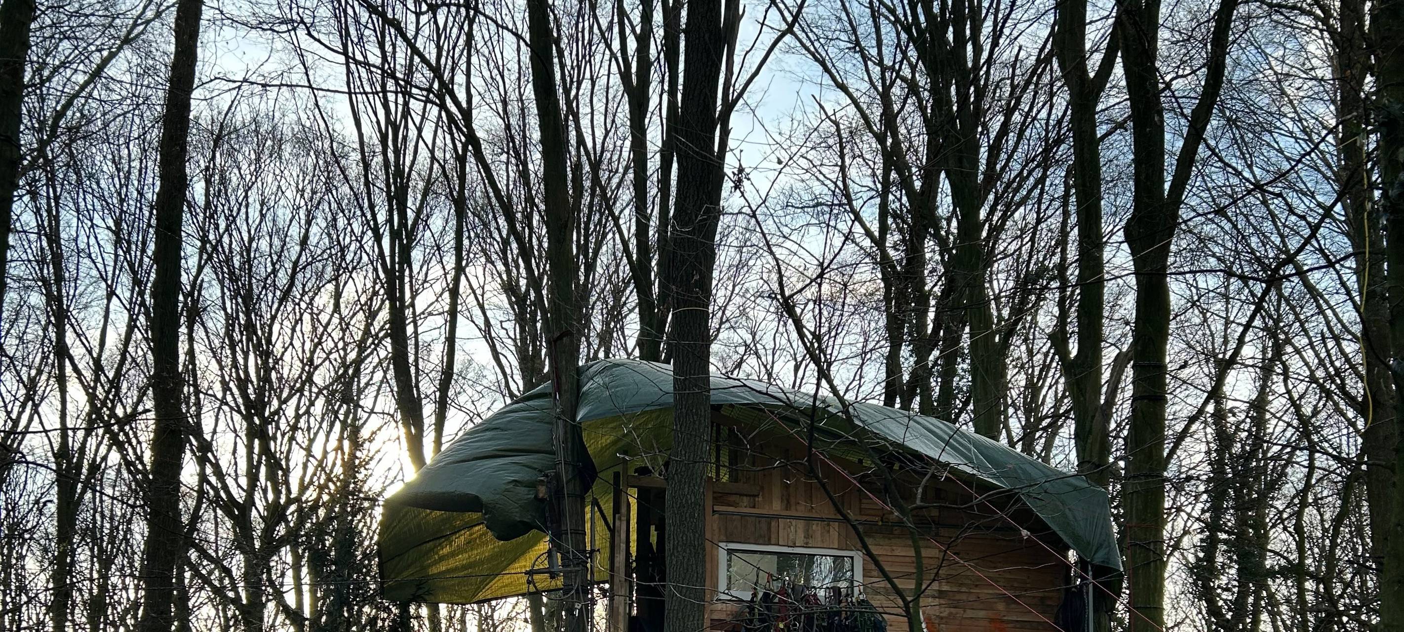 Sündenwäldchen: Kerpen erlässt Allgemeinverfügung